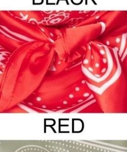 SexyModest Boutique Floral & Paisley Bandana Scarf