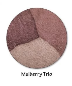 SexyModest Boutique Brigitte Brianna Baked Mineral Eyeshadow Trio BB Cosmetics