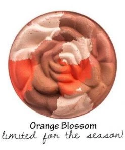 Sexy Modest Boutique BB Cosmetics Brigitte Brianna Blush Bouquet 11 Sexy Modest Boutique BB Cosmetics Brigitte Brianna Blush Bouquet