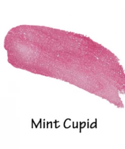 Sexy Modest Boutique Brigitte Brianna Mint Lip Gloss