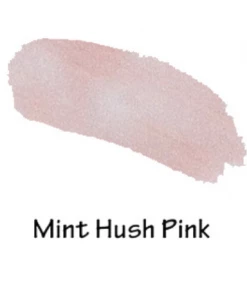 Sexy Modest Boutique Brigitte Brianna Mint Lip Gloss